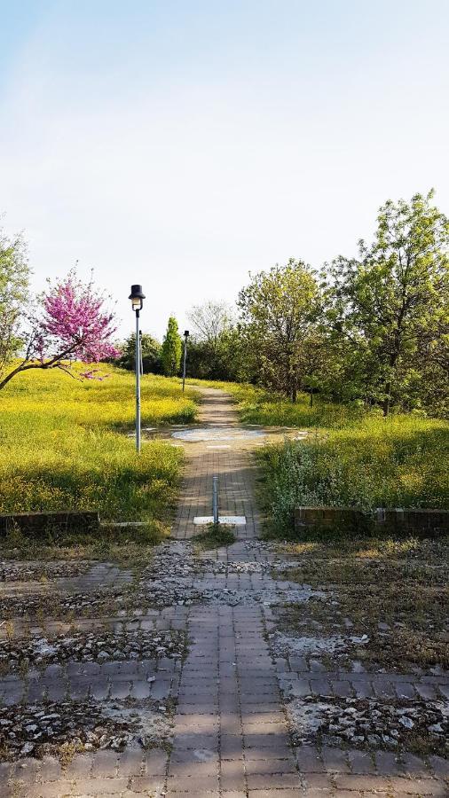Casarava Sul Parco 3 Camere 2 Bagni リッチョーネ エクステリア 写真